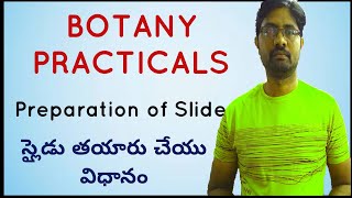 Botany practicals preparation of Slide  స్లైడు తయారు చేయు విధానం  Bhaskars biology [upl. by Saitam613]