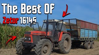 👑The Best Of Zetor 16145👑 [upl. by Araz]