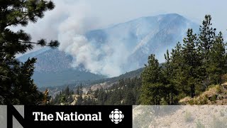 Dry forests and high heats threaten Kamloops BC [upl. by Feinberg]