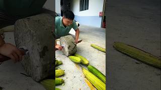 গাছের ফল দিয়ে জুতো তৈরি 👢 making shoe video 😲 shoes [upl. by Lamek]