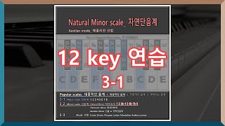 Popular scale대중적인 음계  31 Minor Scales  Natural Minor scale 자연단음계 [upl. by Assen729]