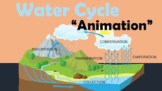 WATER CYCLE  Biology Animation [upl. by Cally]