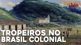 TROPEIROS NO BRASIL COLONIAL  Brasil Colônia  Aula de História para ENEMVestibulares e Concursos [upl. by Ahtan318]