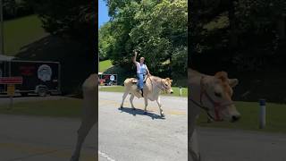 Perry County Fair Man Riding A Cow Shorts [upl. by Nocaed]