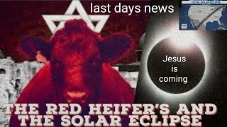 SOLAR ECLIPSE 2024 NEW INFORMATION THE RED HEIFERS FROM TEXAS AND THE ECLIPSE PATH OF TOTALITY [upl. by Melcher]