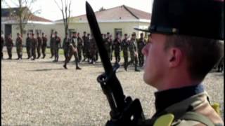 Remise de fourragères aux nouvelles recrues du RICM [upl. by Nyllek]