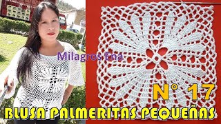 Blusa N° 17 tejida a crochet con cuadrados Palmeritas Pequeñas y mangas en punto Malla paso a paso [upl. by Nancie]