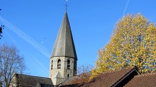 Aarsele SintMartinuskerk klokken feestgelui  kleppen [upl. by Reinertson]