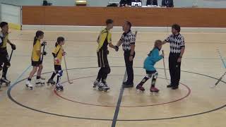 J4 N1 ELITE RINK HOCKEY 2018 2019 SPRS PLOUFRAGAN 4 3 US COUTRAS [upl. by Barbarese]