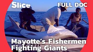 Fundi Shark Masters The Legendary Shark Fishermen of Mayotte  SLICE  FULL DOCUMENTARY [upl. by Philoo]