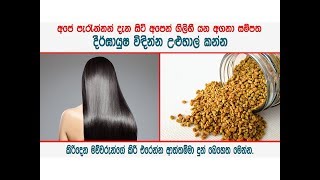 දීර්ඝායුෂ විඳින්න උළුහාල්  Fenugreek seeds for rejuvenation [upl. by Lynsey951]