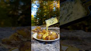 Raclette Swiss Dish  Cooking in Swiss woods [upl. by Novit]