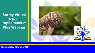 Pupil Premium Plus Webinar 30 June 2021 [upl. by Ailem]