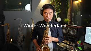 Mike Chin  Winter Wonderland Christmas Alto Sax Cover [upl. by Laurin]