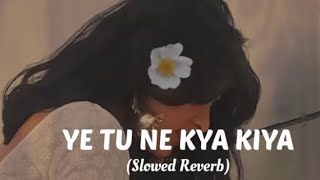 YE TUNE KYA KIYA SLOWD REVERB NEW LOFI SONG   NANDANI  LOFI  MUSIC [upl. by Odnomar]