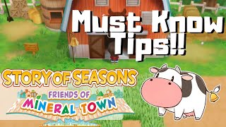 Story of Seasons Friends of Mineral Town TIPS  BEGINNER GUIDE [upl. by Palm]