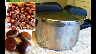 WMF Perfect Pressure cookerPreparation chestnut for 10 minutes [upl. by Denae]