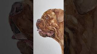 Dogue do Bordeaux watercolor portrait [upl. by Nodyl223]