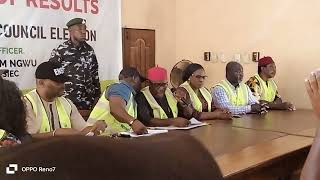 PDP sweeps Enugu State Council Polls [upl. by Meras]