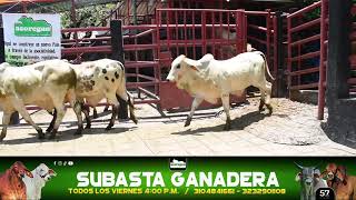 Lote 63 Subasta 20 de Septiembre de 2024 [upl. by Bela]