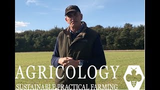 Sainfoin Nutritional Analysis  Agricology Vlog Sept 18 [upl. by Engelhart]