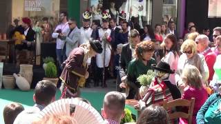 Pasarela Ronda Romántica 2015 HD [upl. by Rizzi981]