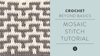 How to Crochet Mosaic Stitch StepbyStep Tutorial [upl. by Jarvey225]