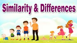 Similarity and Differences  Educational Videos For Kids [upl. by Naedan]