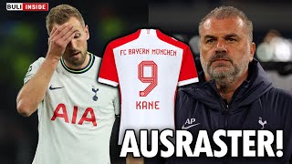 Ausraster wegen KaneTrikot BildReporter provozieren TottenhamTrainer [upl. by Neiluj]