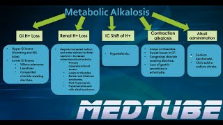 Metabolic Alkalosis Made Easy [upl. by Giarc229]