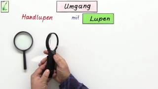 MIKROSKOP UND LUPE  Biologie  Biologie der Zellen [upl. by Ppik]