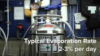 Filling and Maintaining Liquid Nitrogen Tanks [upl. by Adnilemreh778]