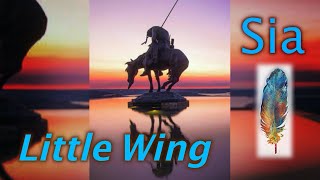 Sia Little Wing Music Video Fminor A432Hz [upl. by Enram374]