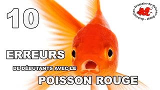 Poisson rouge  10 erreurs de débutant [upl. by Barbra]