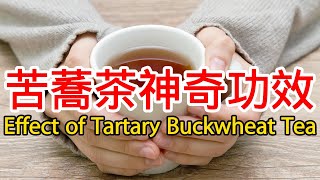 苦蕎茶的功效和作用The efficacy and effects of tartary buckwheat tea [upl. by Leela]