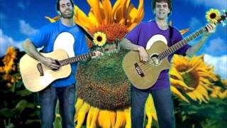 Sunflower Song  Flooky amp the Beans [upl. by Arratoon]