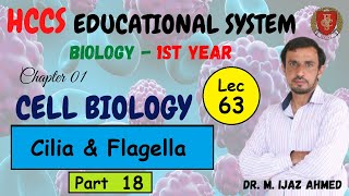 Cilia and Flagella  Structures  Part 18 Chapter 1  1ST YEAR  Dr IJAZ  LEC63 [upl. by Rramahs]