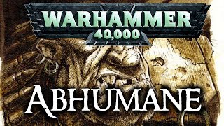 Warhammer 40k Lore  Abhumane Ogryns Ratlings Squats amp Tiermenschen [upl. by Airekal]