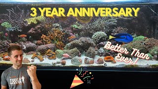 200 Gallon Innovative Marine 200 Gallon EXT 3 Year Anniversary [upl. by Annauj]