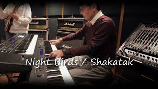 Night Birds  SHAKATAK Cover [upl. by Dew]