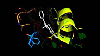 Human Cytochrome P450 CYP17A1 in complex with Abiraterone [upl. by Ysnil]