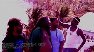 WEED  Antigua Nice official Video [upl. by Dowling]