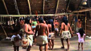 baile de la tribu boras iquitos [upl. by Arua]