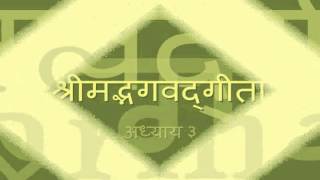 Bhagavad Gita  Chapter 03 Complete Hindi translation [upl. by Plafker]