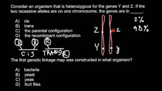 What is Cis and Trans genes configuration [upl. by Sammons]