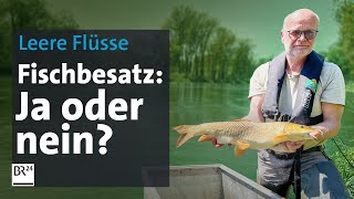 Künstlicher Fischbesatz Retten wir so unsere Flüsse  Die Story  Kontrovers  BR24 [upl. by Esyle566]