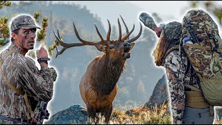 Colorado BACKCOUNTRY ELK HUNTING  We Found the BULLS 🔥 [upl. by Mala946]