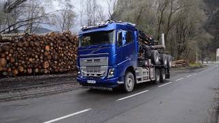 🚚💨 VOLVO FH16 650  🌲 GRUMIER TRANSPORTS GERVAIS [upl. by Eelrebmik]