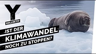 Noch zu stoppen So wirkt sich der Klimawandel schon jetzt aus [upl. by Yael]