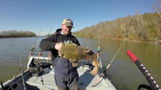 Basic fall flathead catfishing tips [upl. by Verine889]